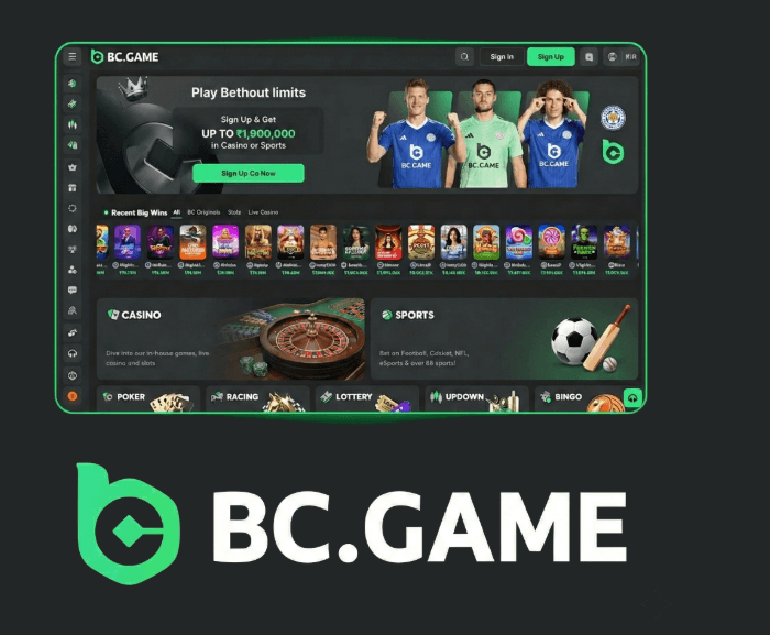 Understanding the BC.Game Login Process A Step-by-Step Guide 1916028240